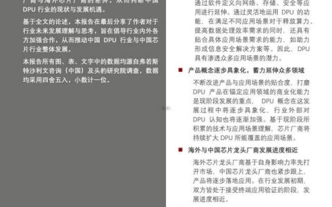 2022年中国DPU行业白皮书 DPU将成为CPU、GPU后的第三块主力芯片-dpu芯片 上市公司