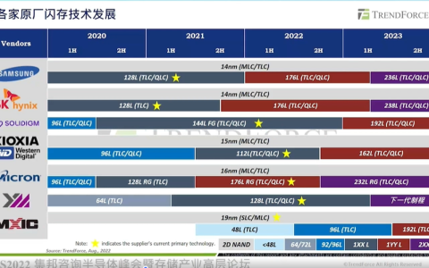 服务器支撑闪存芯片市场增长，上下游企业加速布局基础设施、汽车新兴领域-服务器存储厂家