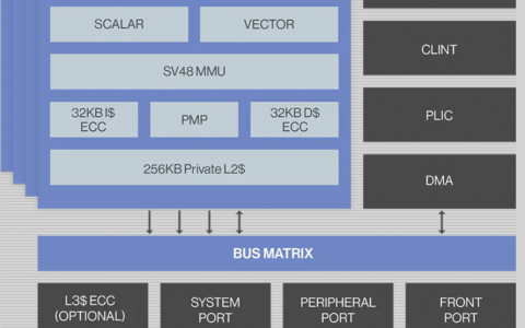 RISC-V将再次上天，NASA官方认证-nasa sls