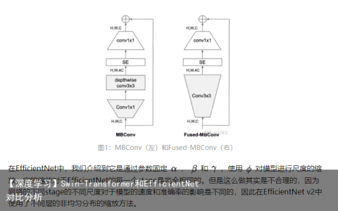 【深度学习】Swin-Transformer和EfficientNet对比分析