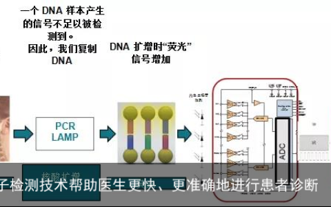 利用分子检测技术帮助医生更快、更准确地进行患者诊断