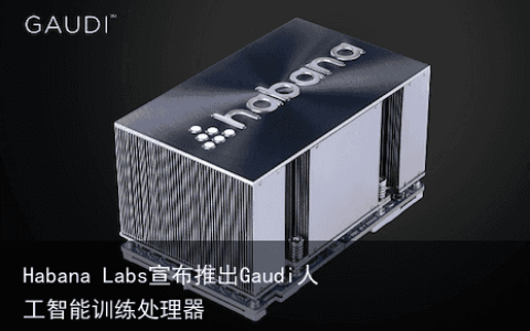 Habana Labs宣布推出Gaudi人工智能训练处理器